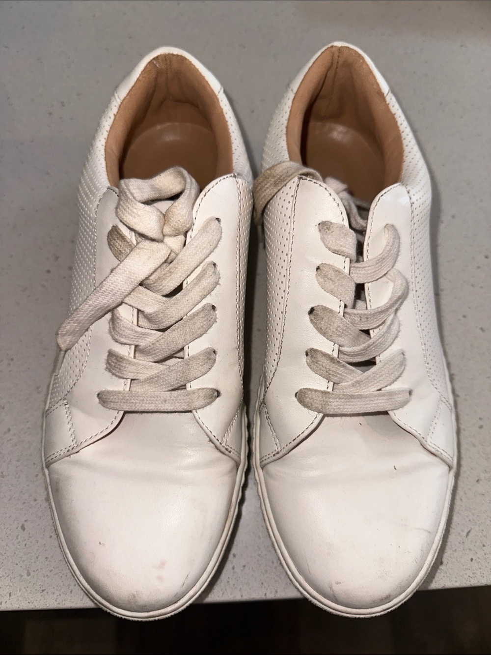 Steve Madden White Leather Low-Top Sneakers